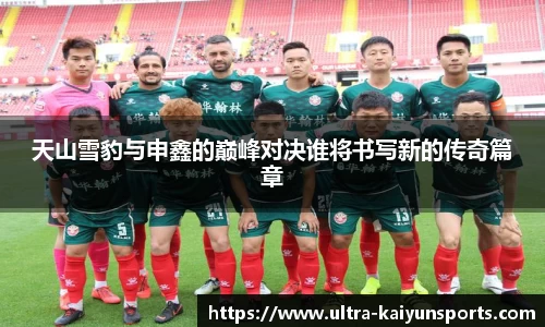 天山雪豹与申鑫的巅峰对决谁将书写新的传奇篇章